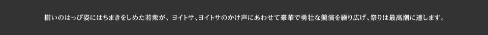 揃いのはっぴ姿にはちまきをしめた若衆が、 ヨイトサ、ヨイトサのかけ声にあわせて豪華で勇壮な競演を繰り広げ、祭りは最高潮に達します。